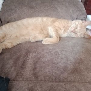 Meet your Posher, April